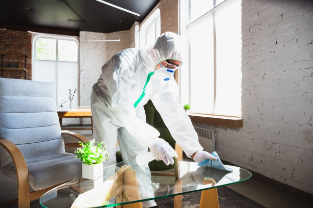 Best Comprehensive Air Testing for Mold Contaminants  in New Hope, OR